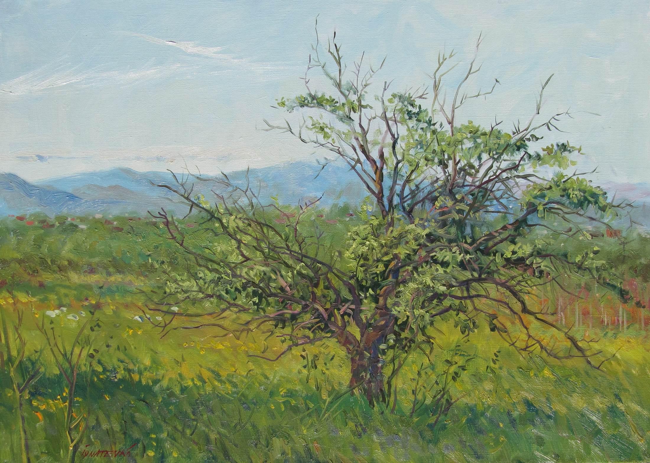 Spring Time artwork