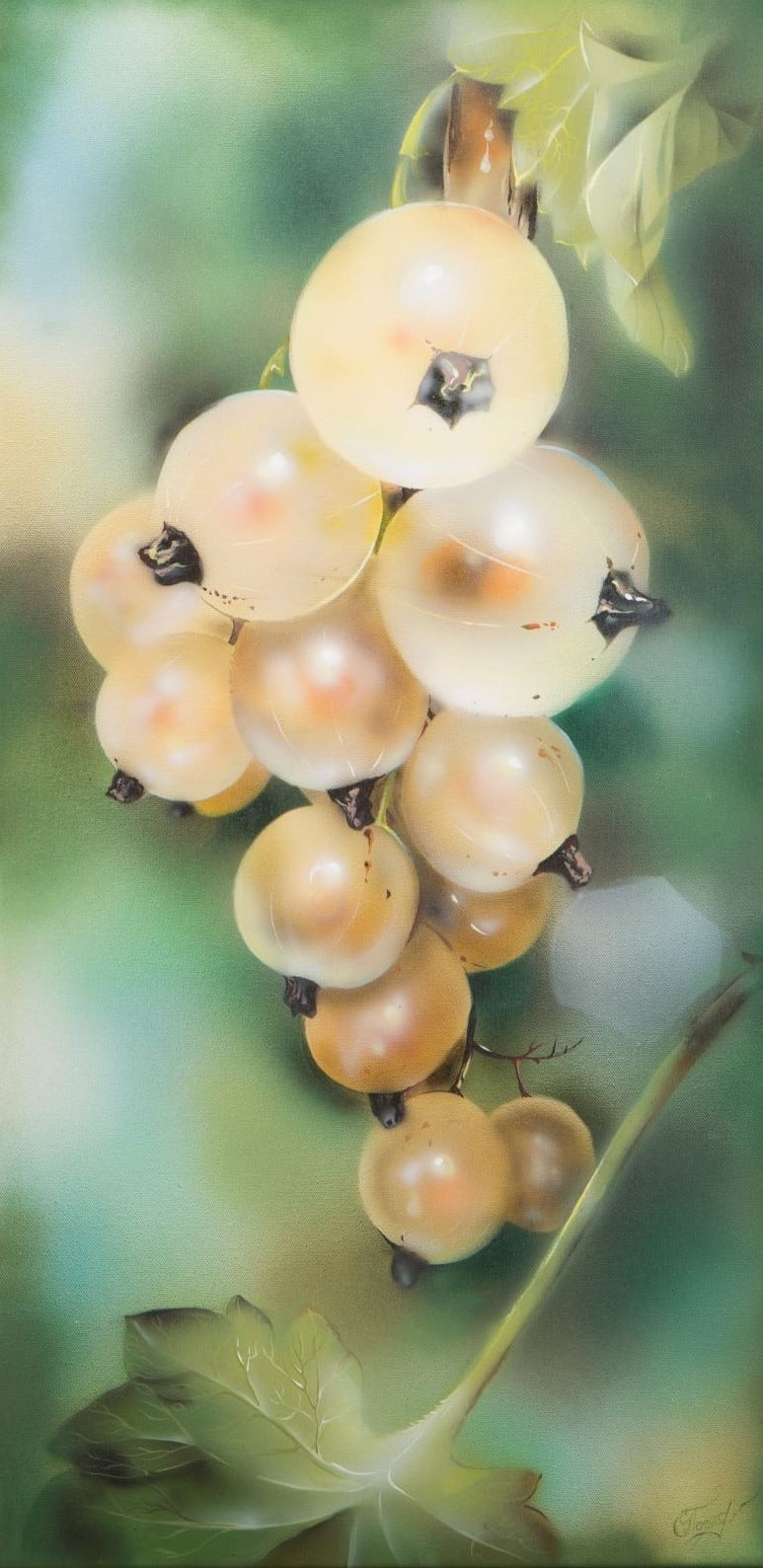 White Currant artwork